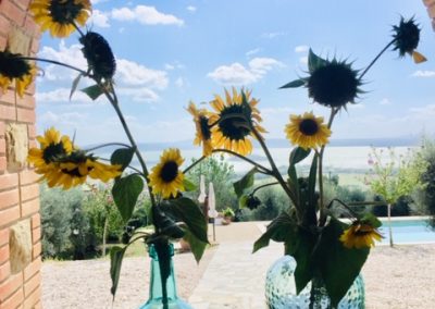Septemberzon